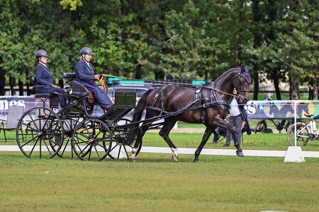 Hermann an den Leinen von Bettina Winkler begeisterte in allen Disziplinen und ist der neue Vize-Weltmeister. | © Brigitte Gfeller