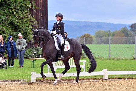 Jessica von Bredow-Werndl und Got it BB auf dem Weg zum Sieg | © Dill