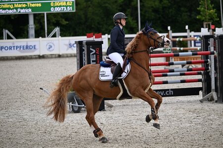 Für die Amateure des SC Bayern steht das Finale auf Gut Ising an. | © Puschak