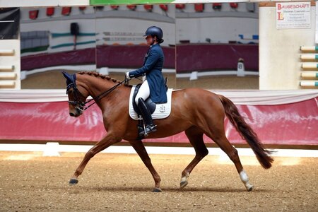 Verena Huber-Troschke reitet mit ihrer Stute zum Sieg | © Dill (Archiv)