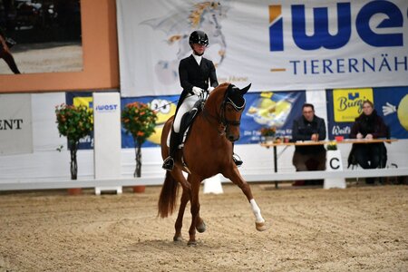 Sieg für Vera Breidenbach und FB Fürstin Primavera | © Dill