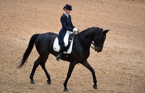 Goldene Schleife für Katrin Härlein-Bauer und Funboy | © Dill