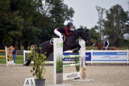 Lena-Marie Kraus siegt im Finale der Ponys (Archiv). | © Dill 