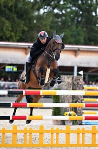 Denis Nielsen sammelte beim Springturnier in Chemnitz gute Platzierungen. | © Foto (Archiv): Dill