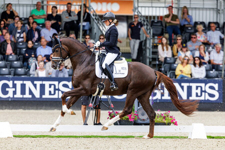 For Royalty galoppiert bei der Weltmeisterschaft der jungen Dressurpferde 2024 zu Rang fünf. | © Lafrentz