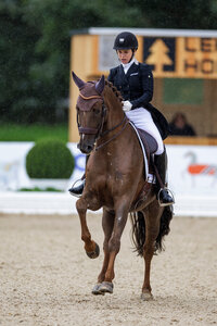 Franziska Stieglmaier und Samurai wussten beim Dressurturnier in Ankum zu überzeugen. | © Lafrentz