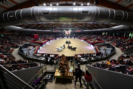 Es ist angerichtet für die Amadeus Horse Indoors. | © Kaiser