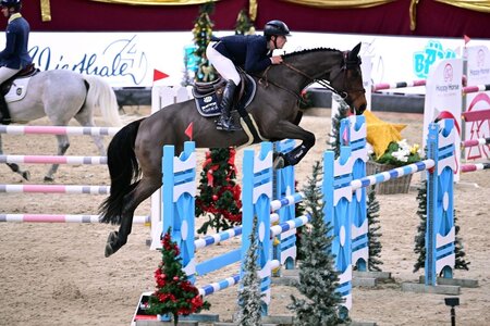 Souverän im Parcours: Mathias Norheden Johansen | © Dill