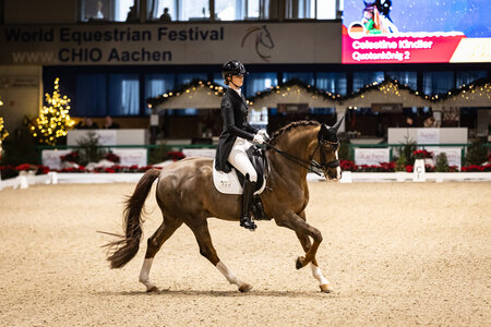 Celestine Kindler und Quotenkönig mit 68,97% zu Rang vier in der internationalen Wertung der Jungen Reiter bei den Aachen Dressage Youngstars | © Jasmin Metzner Fotografie