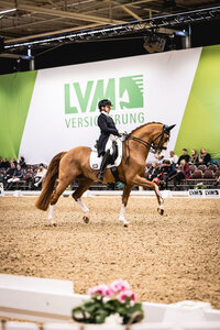 Amelie von Harsdorf und Daydream d'Arion schafften es in die Top5 der Einlaufprüfung des Finalwochenendes DERBY Stars von Morgen. | © Lisa Krieger