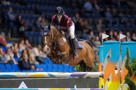 Ehemals Leonie Pander's Wunderpony Indimill A | © Lafrentz