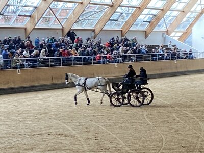 Große Resonanz beim Süddeutschen Fahrsportforum | © Privat