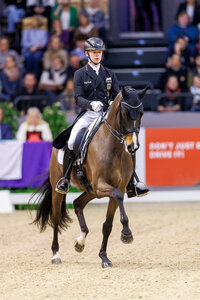 Raphael Netz und Great Escape Camelot schnappten sich im Grand Prix der Weltcup-Tour in Neumünster Rang drei. | © Lafrentz