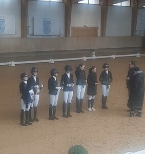 Reger Andrang bei der Dressur Sichtung in der Olympia-Reithalle | © Scheibenpflug
