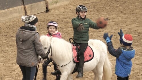 Infos zum Thema "Wie sieht ein kindgerechter Reitunterricht aus?" | © Machold/HSWT