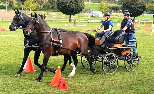 Anfang Mai startet der Dreiländer-Cup. | © privat