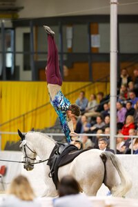 Julian Wilfling ist für die FEI World Cup Finals in Basel startberechtigt. | © Julian Spilker (Archiv)