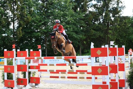 Jörne Sprehe und Starlinda fliegen zum Sieg in Gorla Minore | © Dill (Archiv)