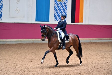 Alexandra Mayr und Freaky Friday siegten in Ansbach in der S**-Dressur. | © Dill (Archiv)