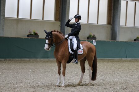 Benjamin Werndl mit Quick Decision | © Dill/Brunner