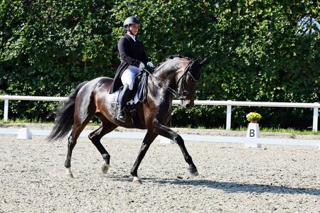 Sabine Sengl und Stute Annie Rocks reiten in Kreuth zum Sieg | © Dill (Archiv)