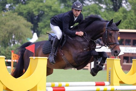 Michael Viehweg und Erfolgspferd Contario auch dieses Wochenende in Bestform | © Dill (Archiv)