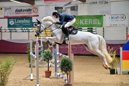 Maximilian Ziegler und Celvado auf dem Weg zum Sieg. | © Dill