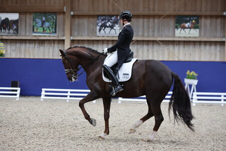 Anna-Magdalena Scheßl und Dubary überzeugten im Grand Prix. | © D. Matthaes