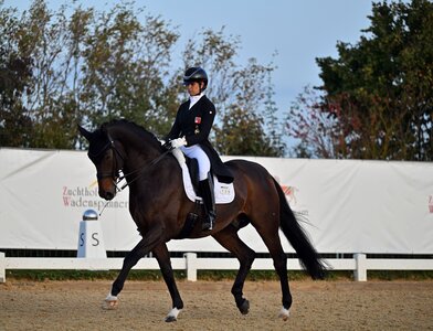 Taufrisch zum Grand Prix-Sieg: Hermes und Jessica Neuhauser | © Dill