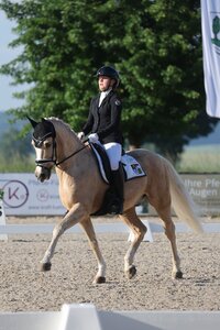 Ida-Marie Graschi und Global Player AT konnten in der Qualifikationswertung für den Bayern-Pony-Cup auf L**-Niveau überzeugen. | © DoMa (Archiv)