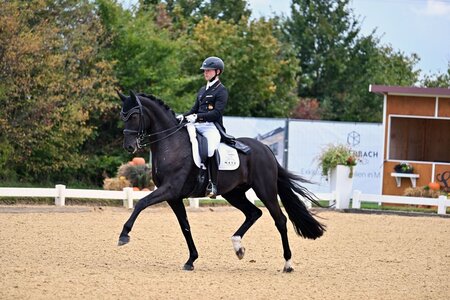 Raphael Netz und Dieudonné sicherten sich in der Grand Prix Kür von Compiegne Rang fünf. | © Dill (Archiv)