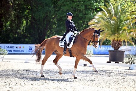 Romina Nieberle sichert sich mit Free Willy gleich Siege | © Dill (Archiv) 