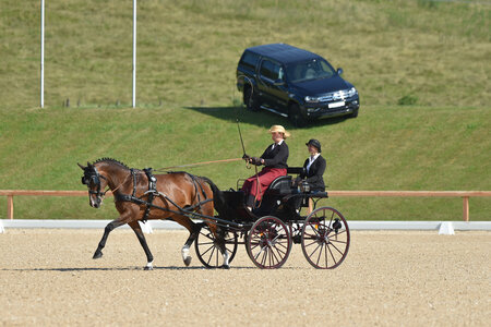 Anika Geiger und DSP Annabelle sicherten sich den dritten Platz in der 3*-Wertung. | © Dill (Archiv)