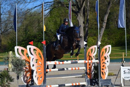 Saskia Fuchs und Checklana entschieden das S*-Springen mit Stechen durch zwei Null-Runden für sich. | © Dill (Archiv)