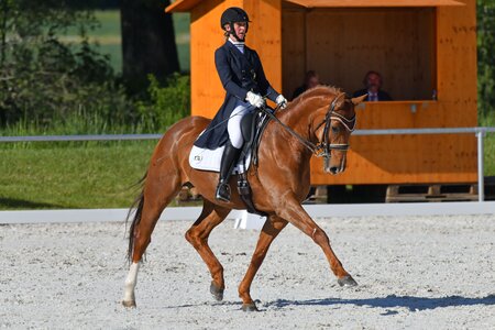  Charlotte Biller und Da Zimtstern haben derzeit einen Lauf und konnten auch in Forstinning einen Sieg in der S*-Dressur sichern. | © Altenhofer (Archiv)