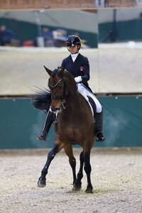Jessica Neuhauser und Rockson sicherten sich beim internationalen Dressurturnier in Lier die nächste Top-Platzierung. | © Dill (Archiv)