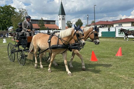 Gelungener Auftakt im Weissl Fahrsport Cup | © Presse