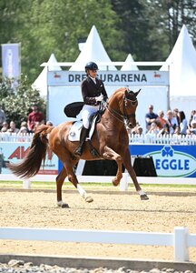 Yara Reichert ist Botschafterin der Pferd International München und wird sich mit den anderen großen Athleten in der Gut Wettlkam Dressuarena messen. | © Fischer