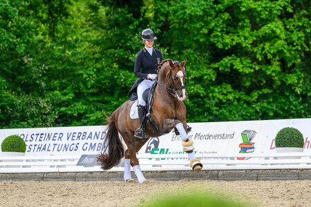 Celestine Kindler und Quotenkönig sind für die Future Champions in Hagen nominiert. | © Equitaris