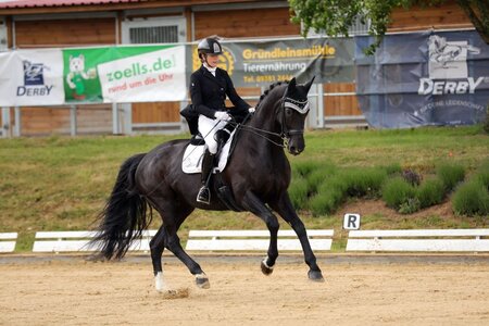 Sophia Scheld und Dark Velvety siegen in der S*-Dressur. | © Dill