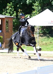 Reitet von nun an in Gold: Adrian Munoz Jurado | © Fischer