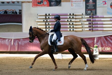 Verena Huber-Troschke reitet in der S-Dressur in Marktl auf Platz eins. | © Dill (Archiv)