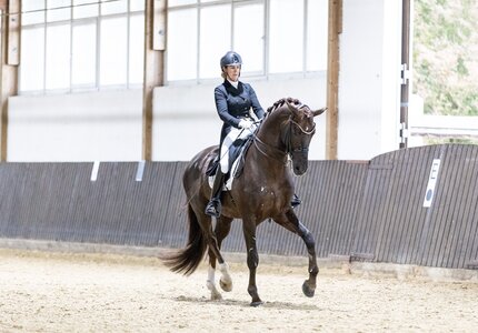 Johanna Wadenspanner und DSP Va Bene triumphieren auf dem Gestüt Nonnhof. | © Münch