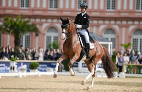 Benjamin Werndl und Quick Decision galoppierten in Wiesbaden zum Louisdor-Preis-Finalticket. | © TomsPic