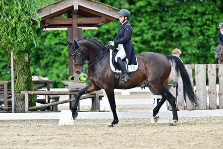 Zum Sieg getrabt: Annie Rocks und Sabine Sengl | © Dill