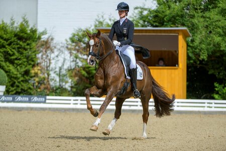 Celestine Kindler und Quotenkönig vertreten die deutschen Farben bei den Europameisterschaften der Jungen Reiter. | © Equitaris (Archiv)
