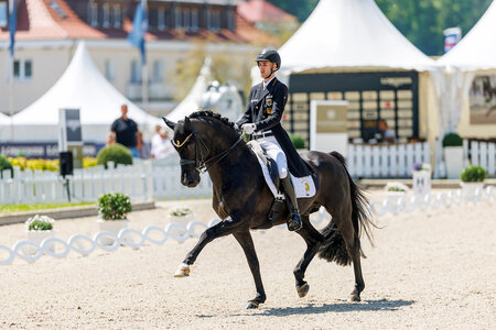 Moritz treffinger sicherte sich mit Cadeau Noir auch in der U25-Kür Gold. | © Lafrentz