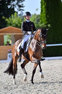 Raphael Netz und Grey Lamberto trabten zum S***-Sieg. | © Dill