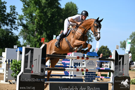 Richard Gardner und Carl Otto verteidigen ihren Titel und siegen nach 2024 erneut im Großen Preis von Königsbrunn. | © Ursula Puschak