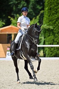 Jutta Borgmann-Reutter und Sanrico galoppierten aufs Podest. | © Dill